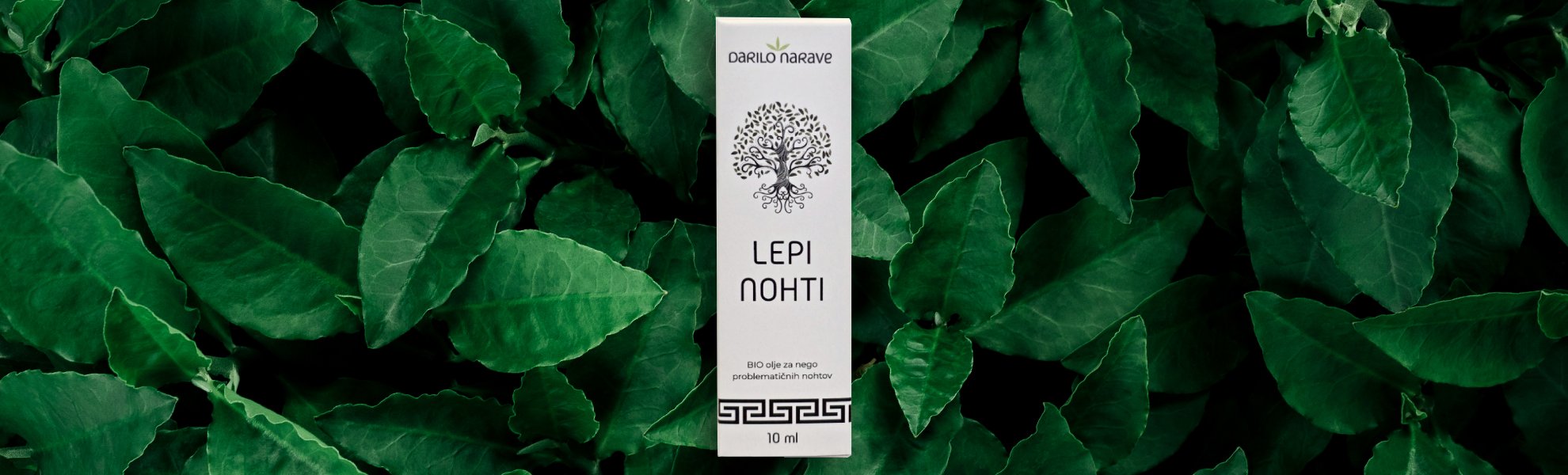 LEPI NOHTI zakaj skrb za nohte pomeni tudi skrb za zdravje