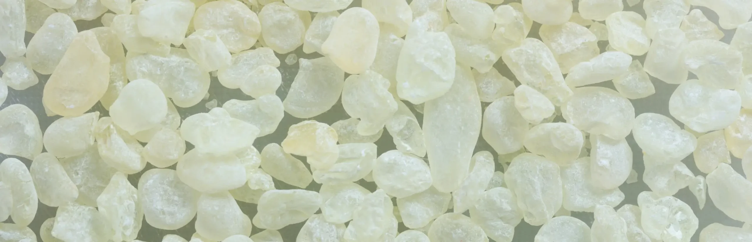 Izvornik Chios Mastika