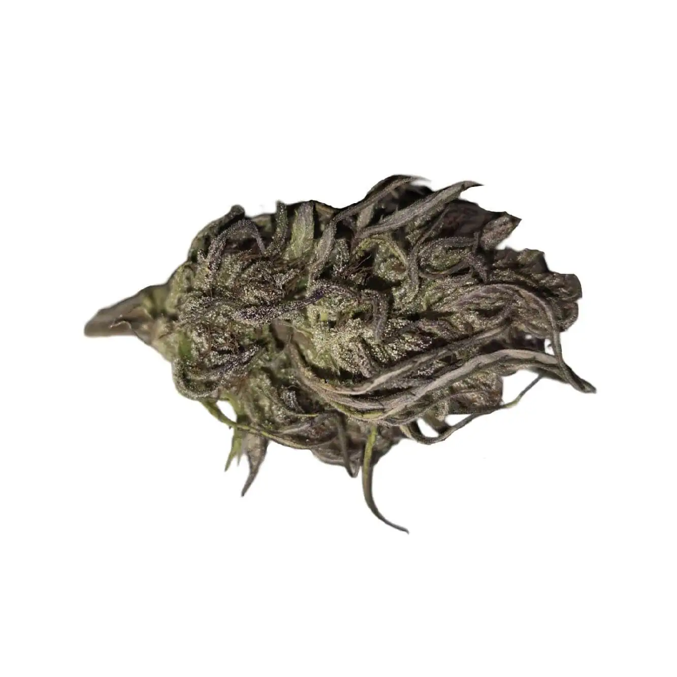 BIO cvjetovi konoplje s CBD-om i CBG-om 5g 2 Prirodno sušen cvijet konoplje s CBD-om i CBG-om na bijeloj podlozi